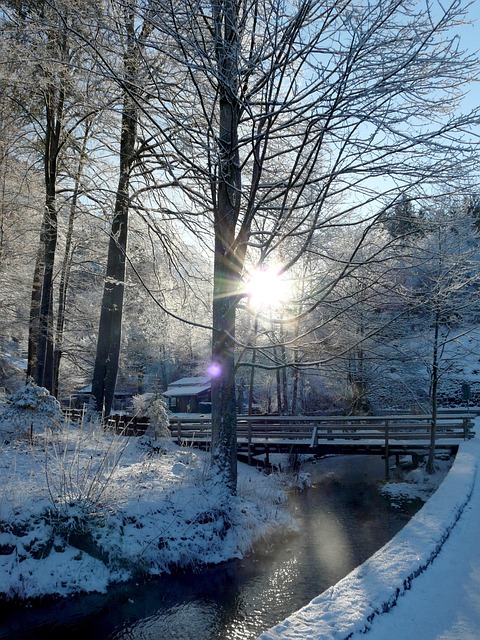 Winter, Schnee, Winterlandschaft