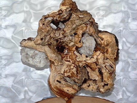 Skulptur, Holz, Wurzel, Natur, Baum