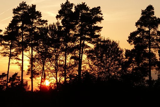 Abendrot, Bäume, Himmel, Sonnenuntergang