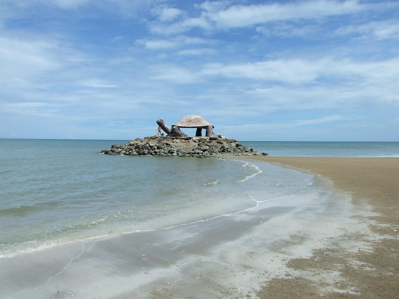Tortoise - free online jigsaw puzzle photo
