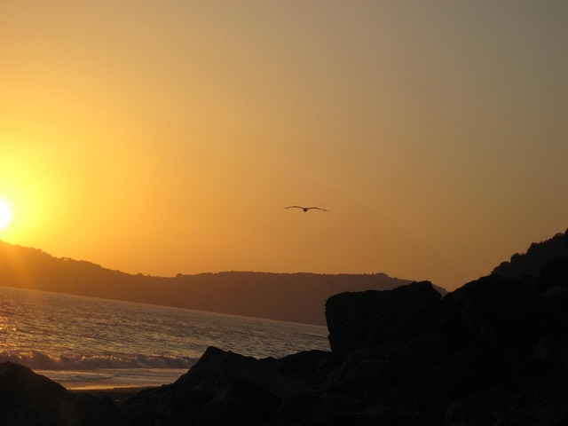 Free Sunset Sea photo and picture