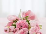 roses, bouquet, congratulations