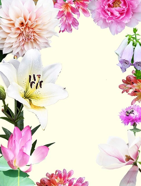 Free stationery summery summer illustration