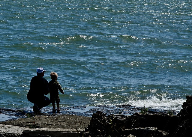 Free Lake Water photo and picture
