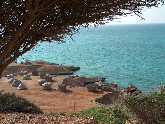 Free Sea Red Sea photo and picture