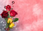 flower, arrangement, rose