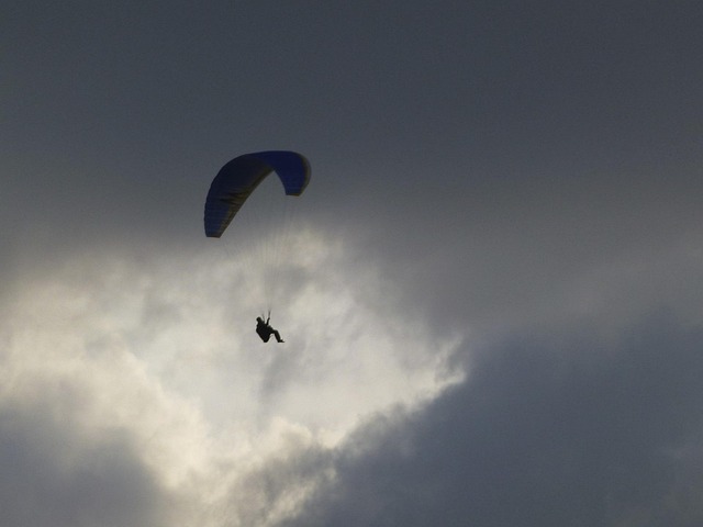 Free Paraglider Flying photo and picture