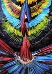 colorful, feathered headdress, amazon