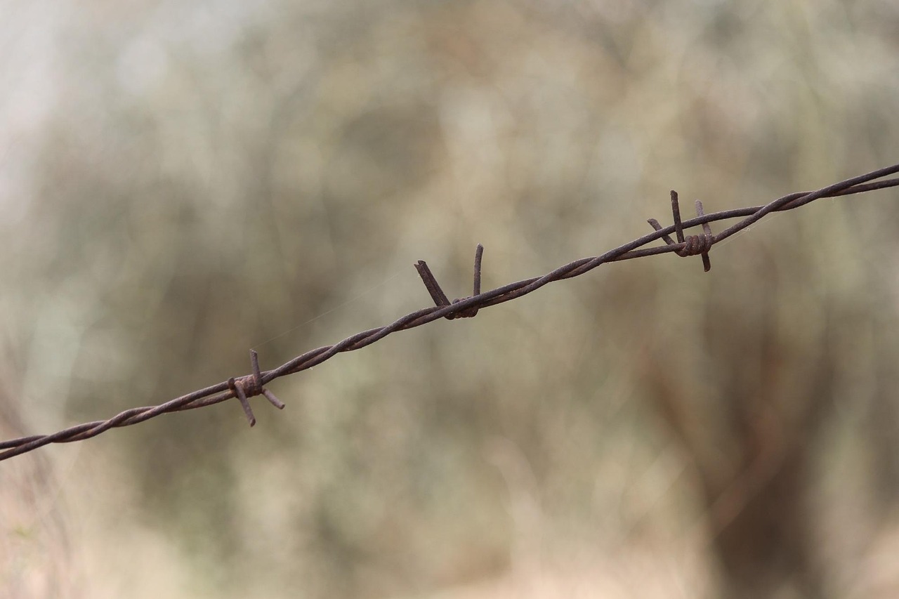 Barbed Wire Barb - Free photo on Pixabay - Pixabay