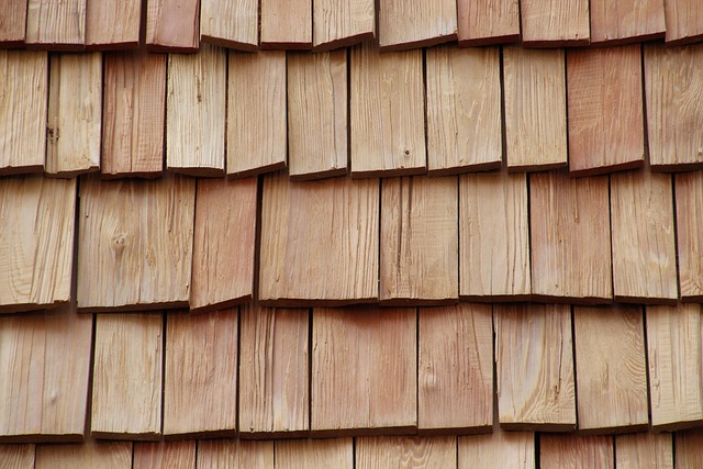 Free Dolomites Roof photo and picture