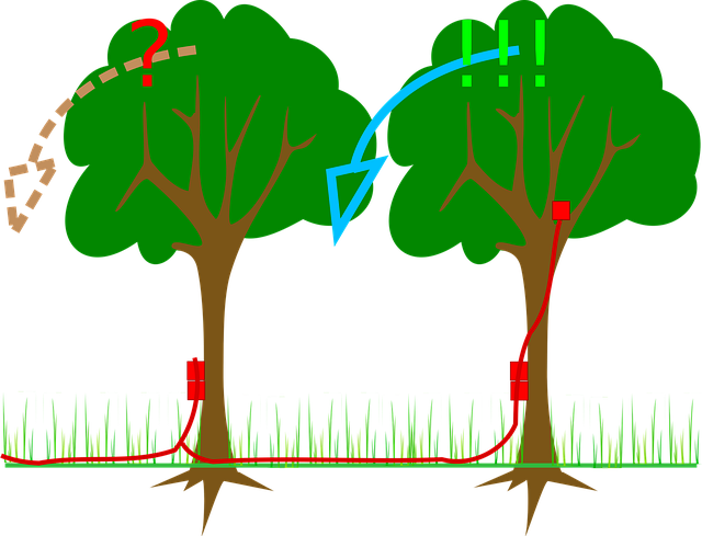 Free timber explosive military illustration