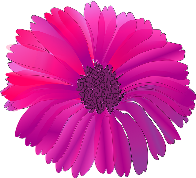 Free flower pink beautiful flowers vector