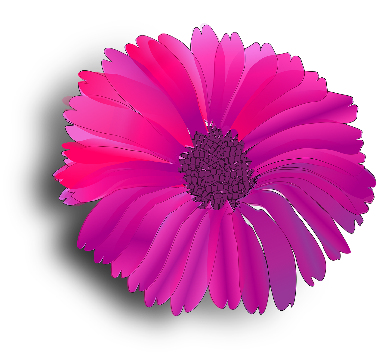 Free flower pink fuchsia vector