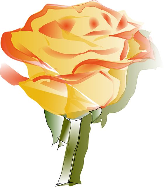 Download free HD stock image of Rose Beautiful Flowers Free rose beautiful flowers yellow illustration