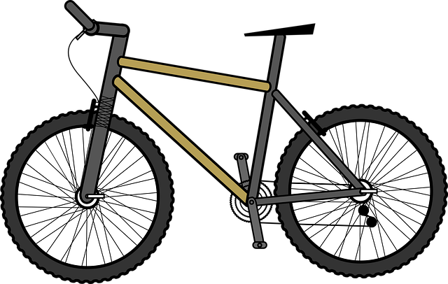 Free bicycle wheels transportation vector