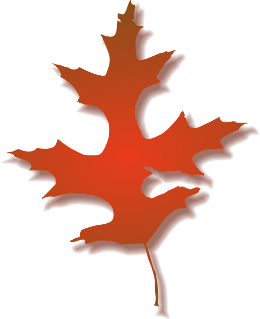 Free maple leaf tree vector
