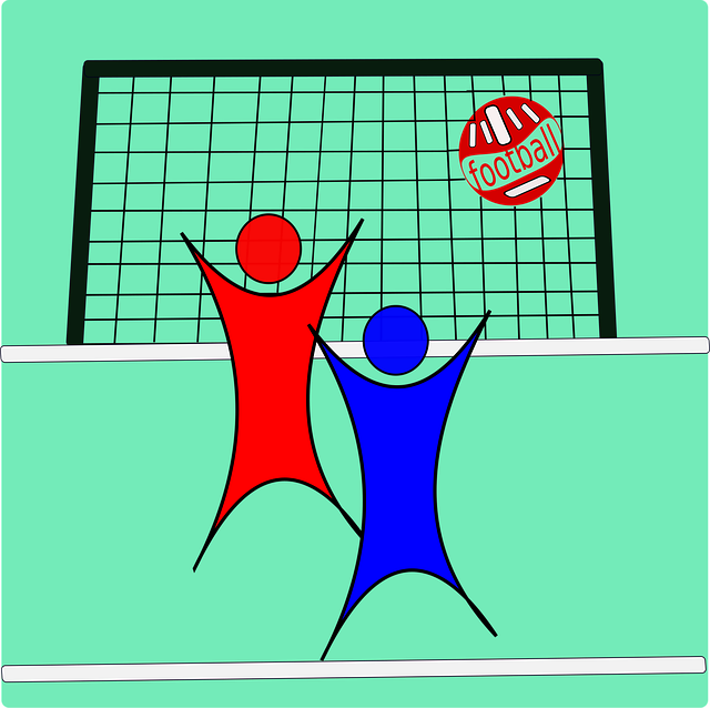 Free football sports soccer vector