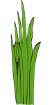 blades of grass, grass, weed