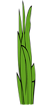 blades of grass, grass, weed