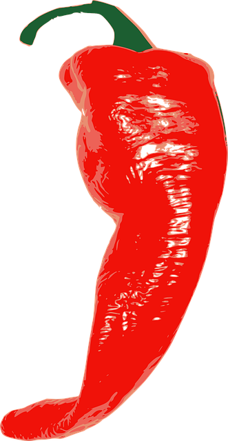Free Chili Spice vector and picture