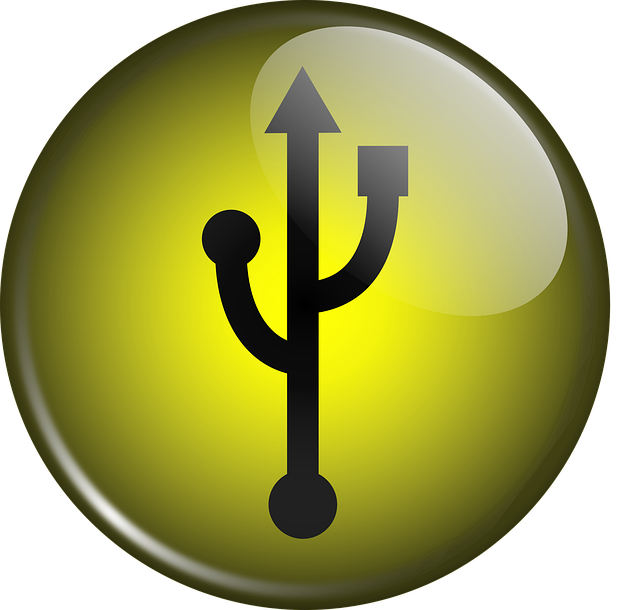 Free usb button glossy vector