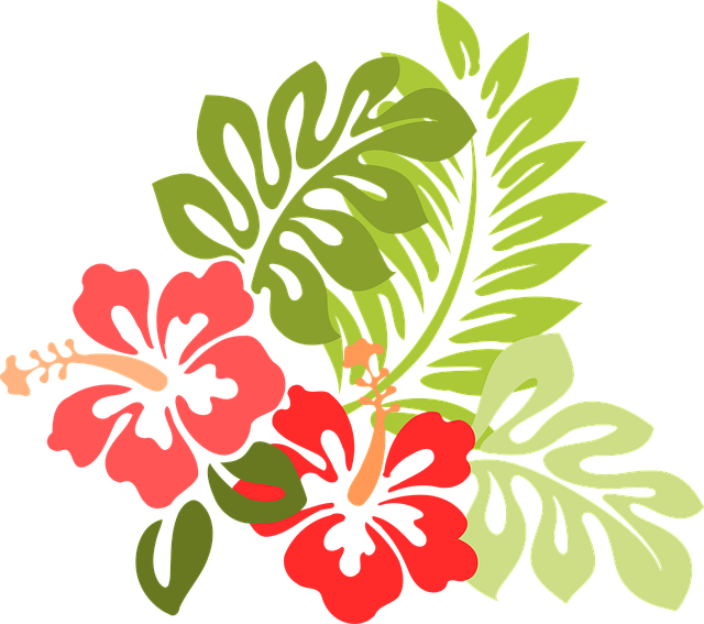 Free hibiscus flower wallpaper flower vector