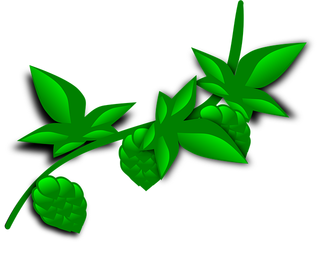 Free hops nature beer illustration