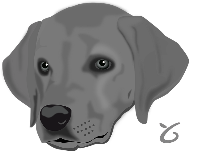 Free dog pet head vector