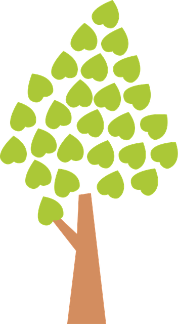 Baum, Blätter, Herbst, Natur, Grün