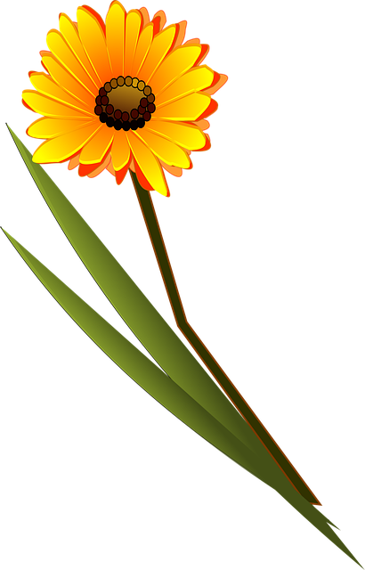 Download free HD stock image of Flower Beautiful Flowers Free flower beautiful flowers flower wallpaper vector