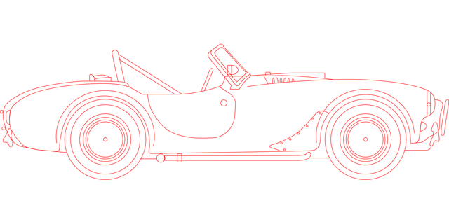 Shelby Cobra, Automobil, Přeprava