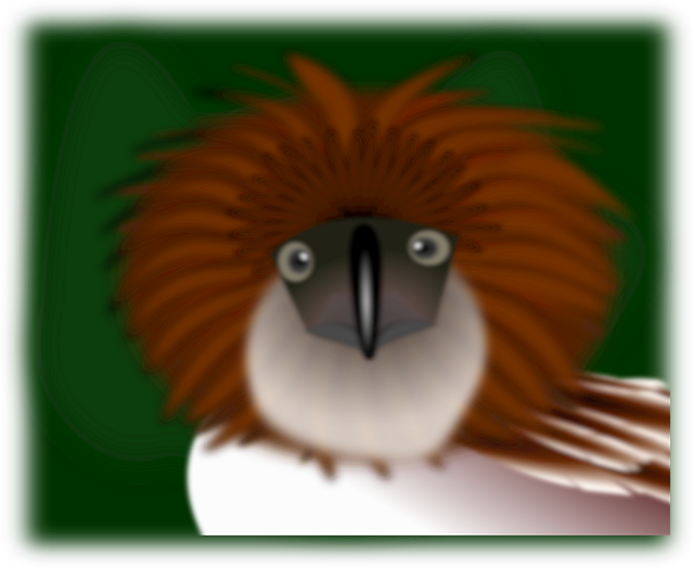 Kiwi, Vogel, Adler, Philippinen, Tier