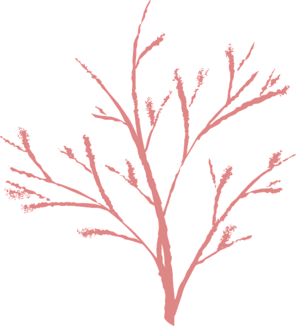 Free branch nature winter illustration