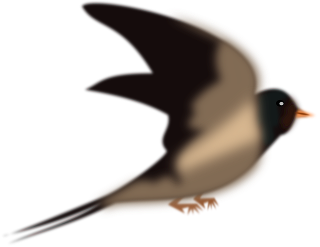 Free swallow martin pigeon vector