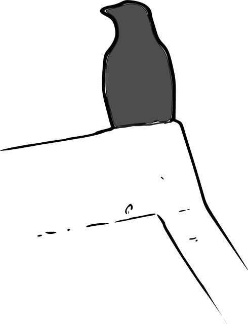 Free bird nature jackdaw illustration
