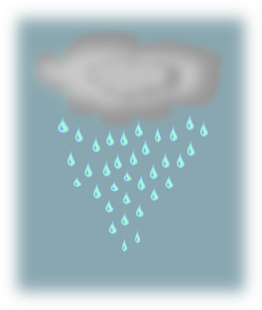 Free rain raindrops cloud vector