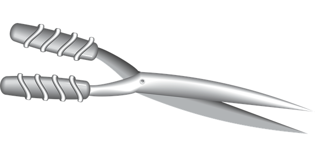 Free scissors shears clippers vector