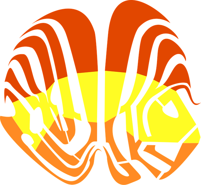 Free animal fish clam vector