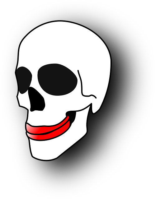 Free skull gums skeleton illustration