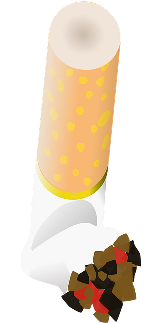 Free ciggy cigarette smoke vector