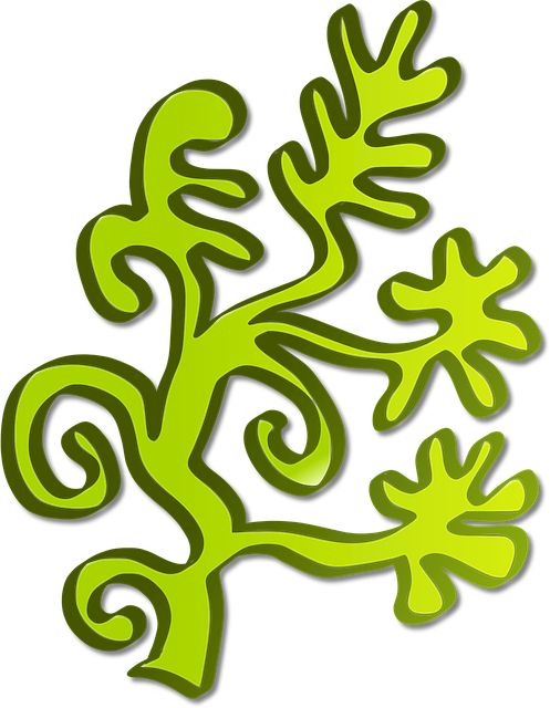 Free grass green nature illustration