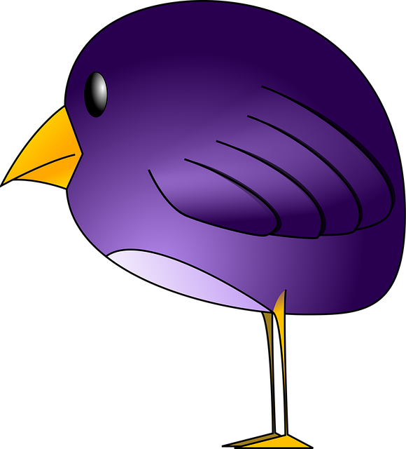 Free bird nature standing vector