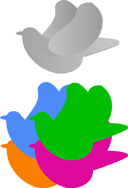 Free pigeon birds nature vector