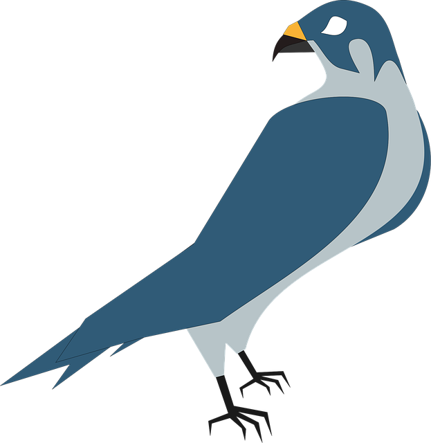Free pigeon bird nature illustration