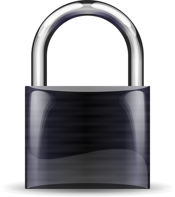Free padlock black lock vector