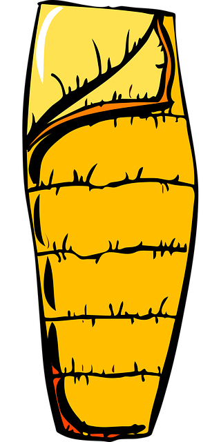 Free sleeping bag camping camp vector