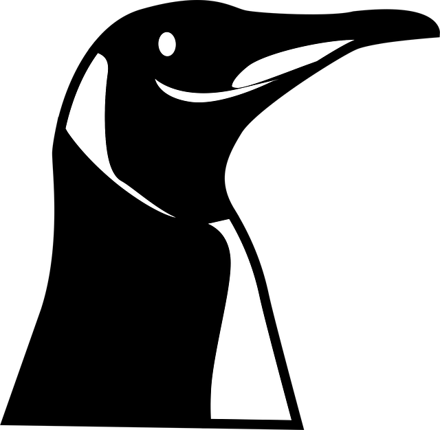 Free penguin bird nature illustration