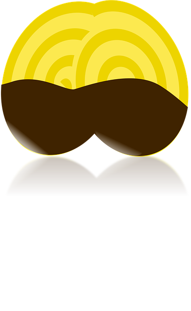 Free biscuit filo pastry vector
