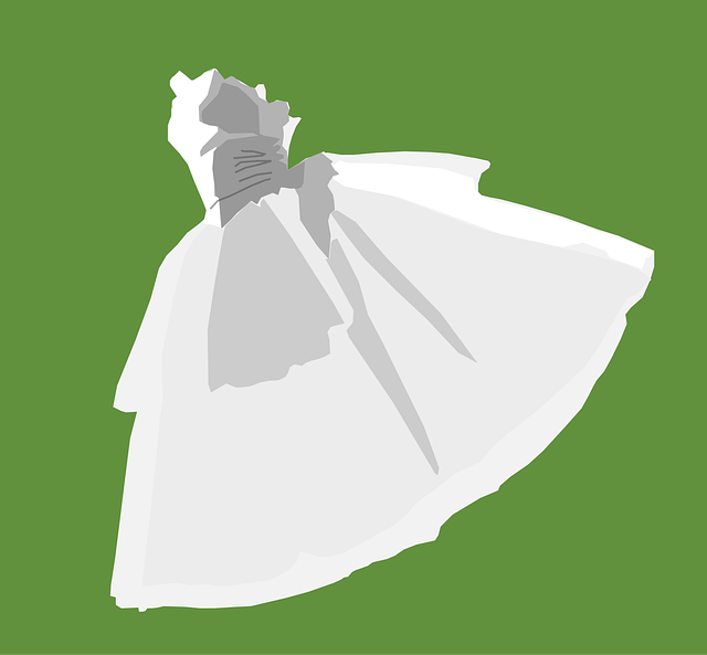 Free ballet dress clothes vector