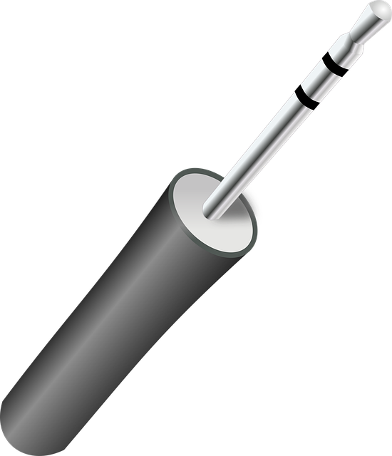 Free plug cable stereo vector